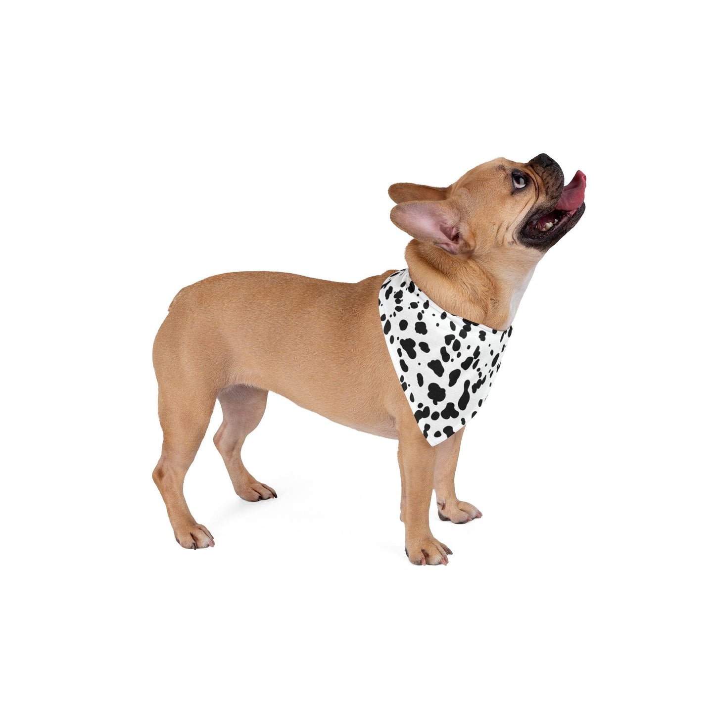 Dalmatian Print Bandana - BentleyBlueCo