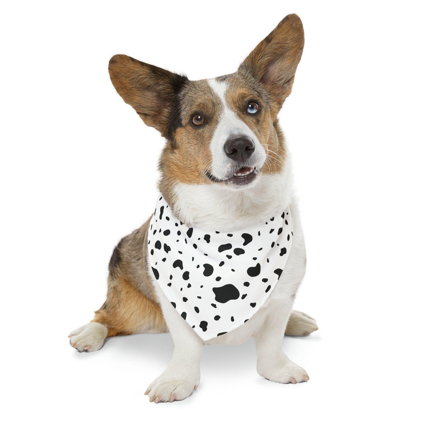 Dalmatian Print Pet Bandana Collar - BentleyBlueCo