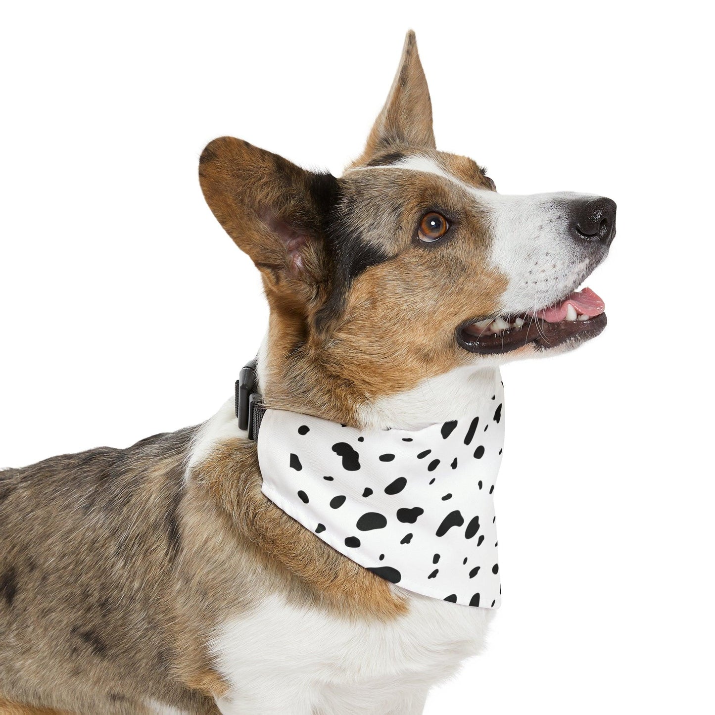 Dalmatian Print Pet Bandana Collar - BentleyBlueCo