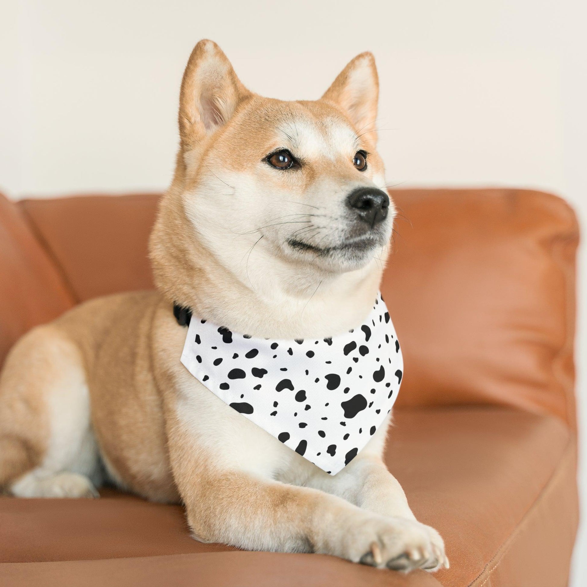 Dalmatian Print Pet Bandana Collar - BentleyBlueCo