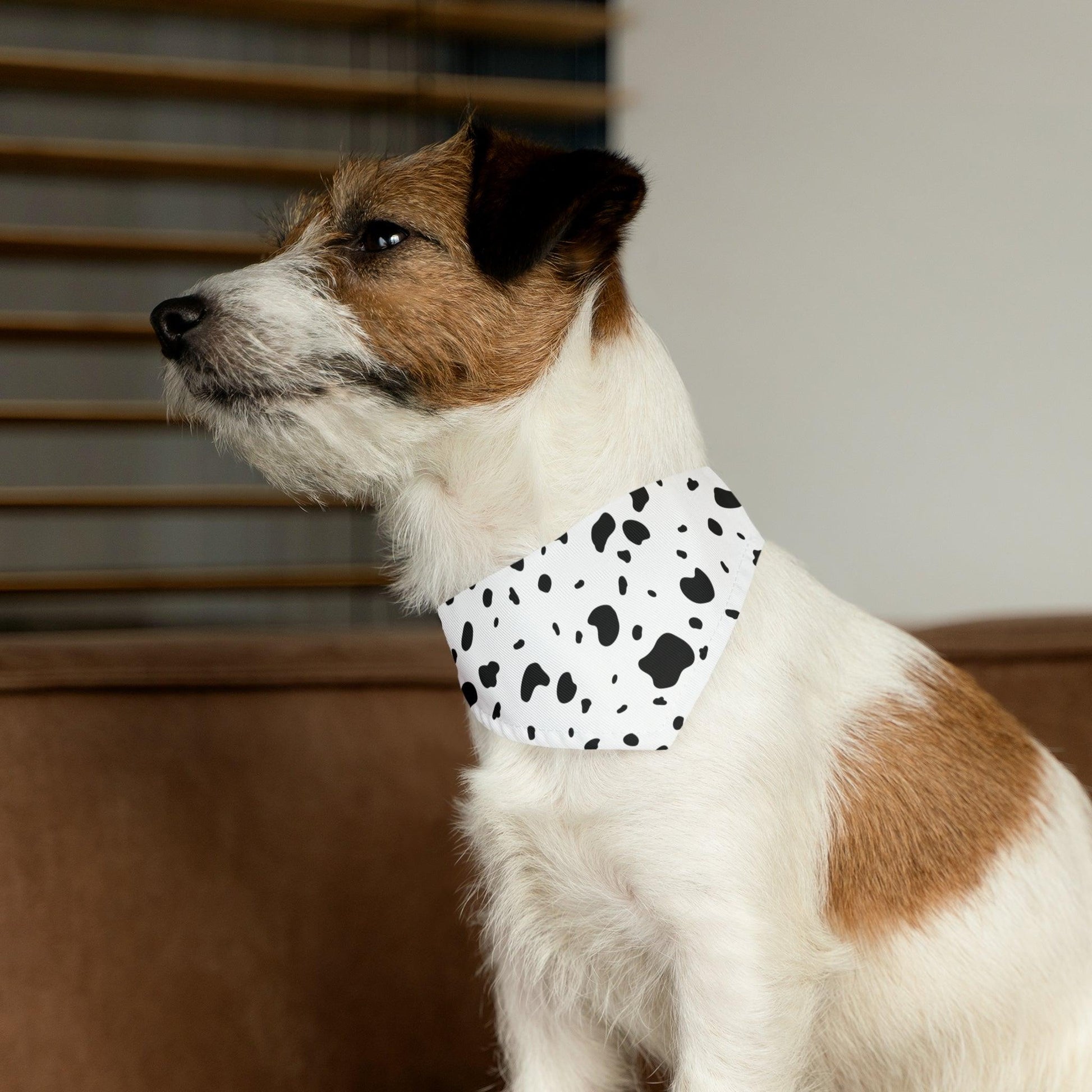 Dalmatian Print Pet Bandana Collar - BentleyBlueCo